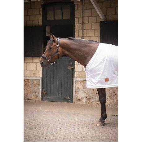 PADDOCK UV-mesh combo Decke