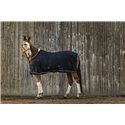 EQUITHEME Micro Mesh Hemd