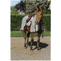 RIDING WORLD Fliegenschutz-Arbeitsbluse