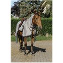 RIDING WORLD Fliegenschutz-Arbeitsbluse