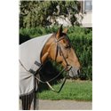 RIDING WORLD Fliegenschutz-Arbeitsbluse