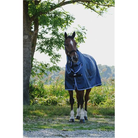 RIDING WORLD Combo-Regendecke