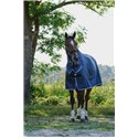 RIDING WORLD Combo-Regendecke