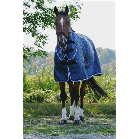 RIDING WORLD Combo-Regendecke