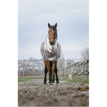 RIDING WORLD Anti-Ekzem-Hemd
