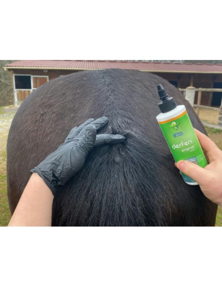 ANIMADERM ?Original" Lotion