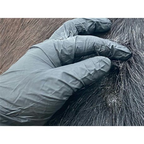 ANIMADERM ?Original" Lotion