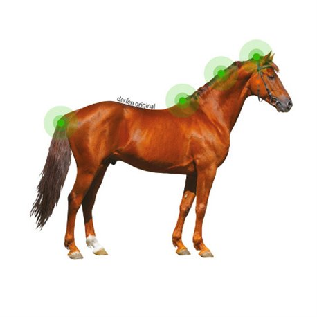 ANIMADERM ?Original" Lotion