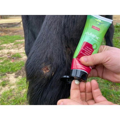 Crème cicatrisante ANIMADERM Cutene™