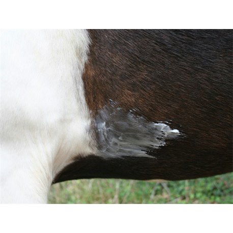 ANIMADERM "Natjely" Creme