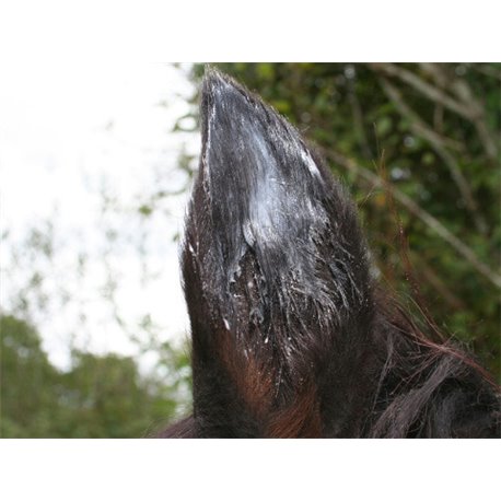 ANIMADERM "Natjely" Creme