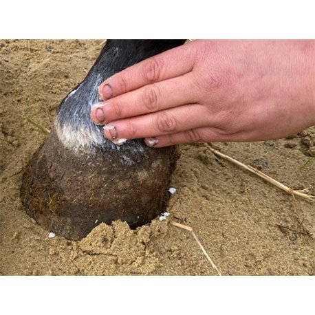 ANIMADERM "Natjely" Creme