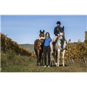 EQUITHEME 'Elodie' Polo mit kurzen Ärmeln