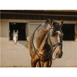 Bridon ERIC THOMAS "Bat" 2