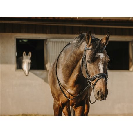 Bridon ERIC THOMAS "Bat"