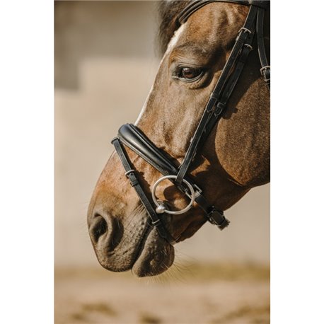 Bridon ERIC THOMAS "Bat"