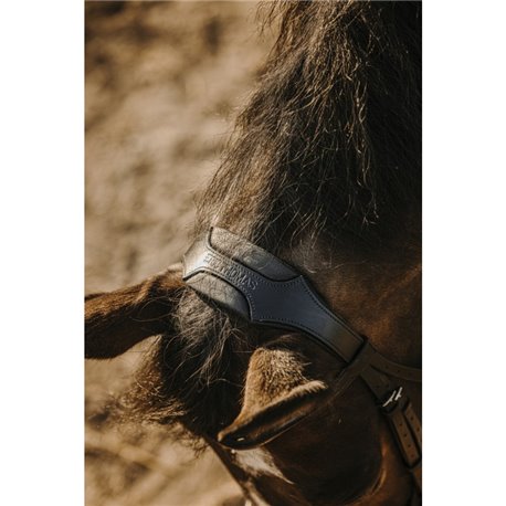 Bridon ERIC THOMAS "Bat"