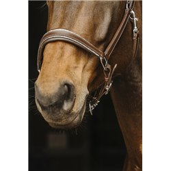 Licol cuir NORTON "Rock" 2