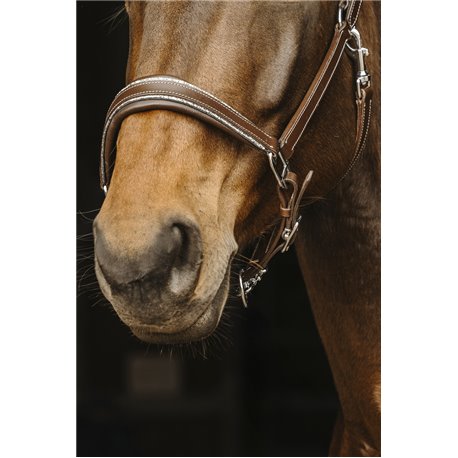 Licol cuir NORTON "Rock"