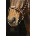 Licol cuir NORTON "Rock"