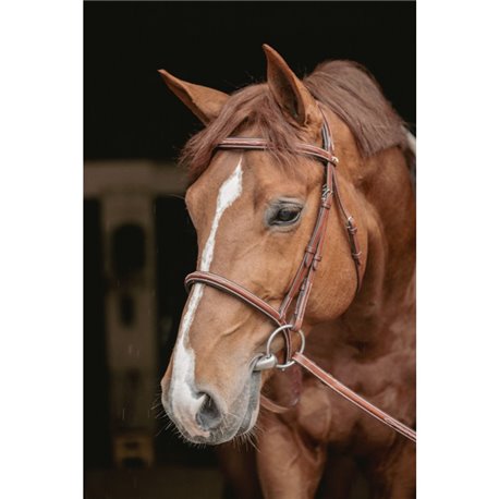 Bridon "Hunter US" PENELOPE