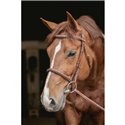 Bridon "Hunter US" PENELOPE