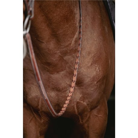 Bridon "Hunter US" PENELOPE