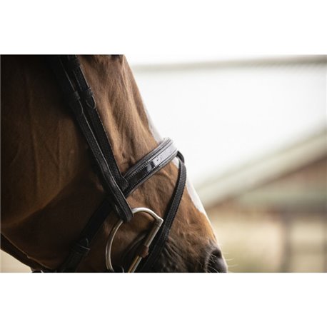 Bridon "Oxford Performance" PENELOPE