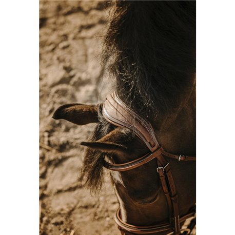 Bridon ERIC THOMAS "Crown"