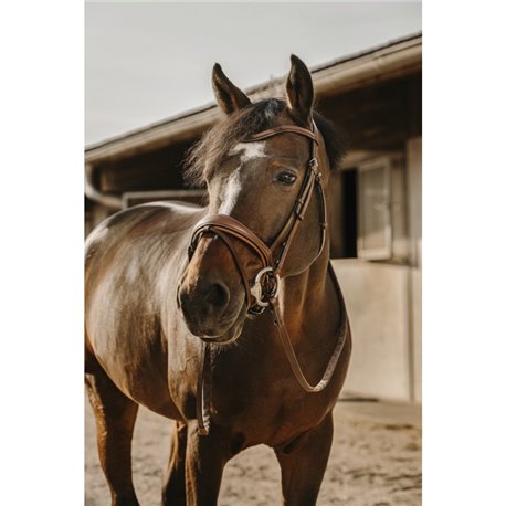 Bridon ERIC THOMAS "Visby"