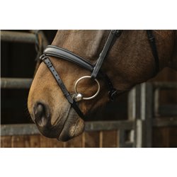 NORTON Trensenzaum "Dark" 2