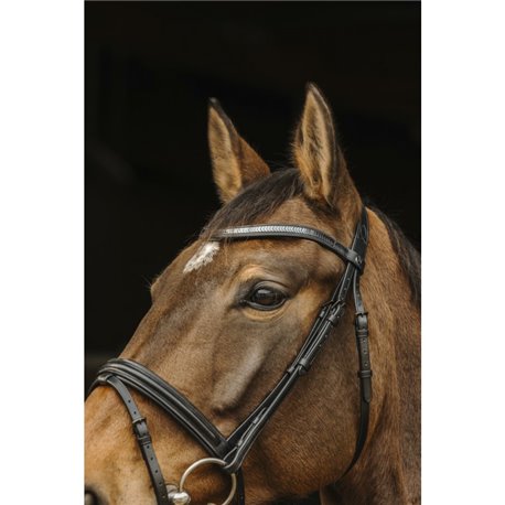 NORTON Trensenzaum "Galon"