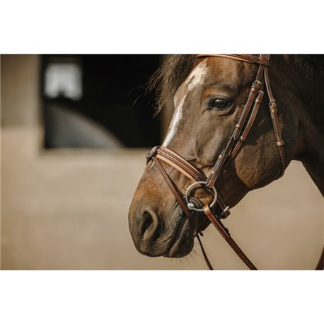 NORTON Trensenzaum "Work"