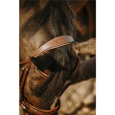 NORTON Trensenzaum "Work"