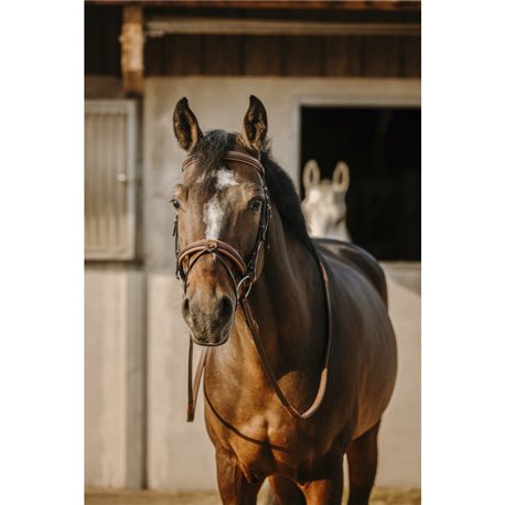 NORTON Trensenzaum "Work"