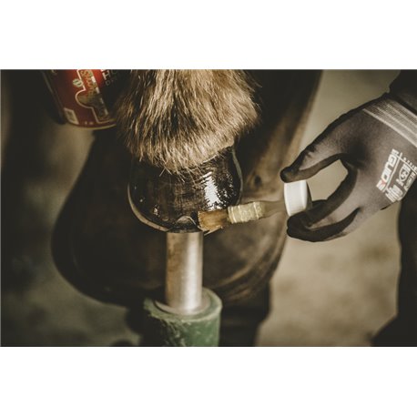 Kevin Bacon's Hoof dressing - Liquide - Huföl