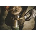 Kevin Bacon's Hoof dressing - Liquide - Huföl