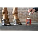 Kevin Bacon's Hoof dressing - Liquide - Huföl