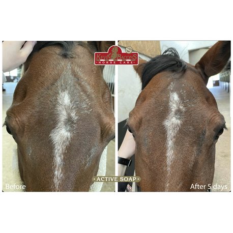 Huile pour Fourchette du pied Kevin Bacon's - Hoof solution