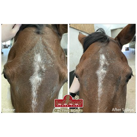 Huile pour Fourchette du pied Kevin Bacon's - Hoof solution