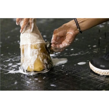 Huile pour Fourchette du pied Kevin Bacon's - Hoof solution