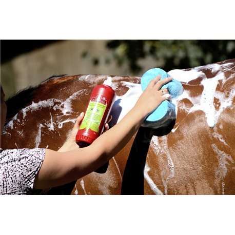 Huile pour Fourchette du pied Kevin Bacon's - Hoof solution