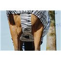 RIDING WORLD Zebra Anti-Ekzem-Hemd