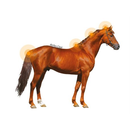 ANIMADERM „Clear" Lotion