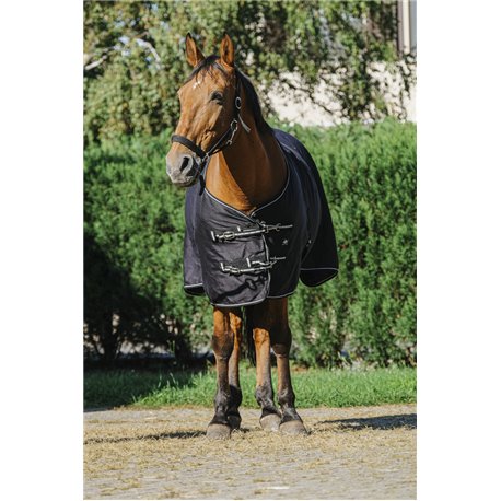 RIDING WORLD glänzendes Hemd