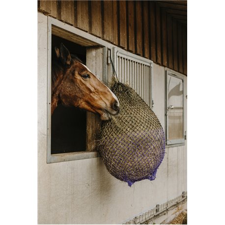 HIPPOTONIC Feines Heunetz