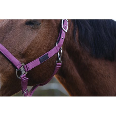 EQUITHEME "Spring" Nylonhalfter