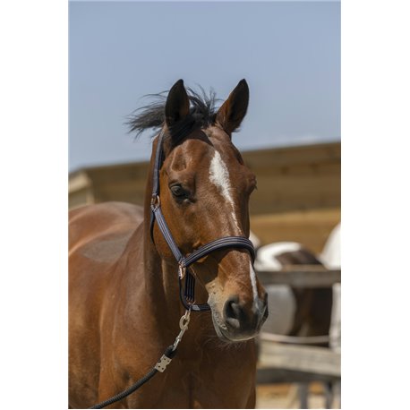 NORTON ?Zari" Halfter