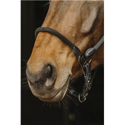 NORTON Leder-/Seilhalfter 2