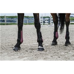 EQUITHÈME Carbon Gamaschen 2